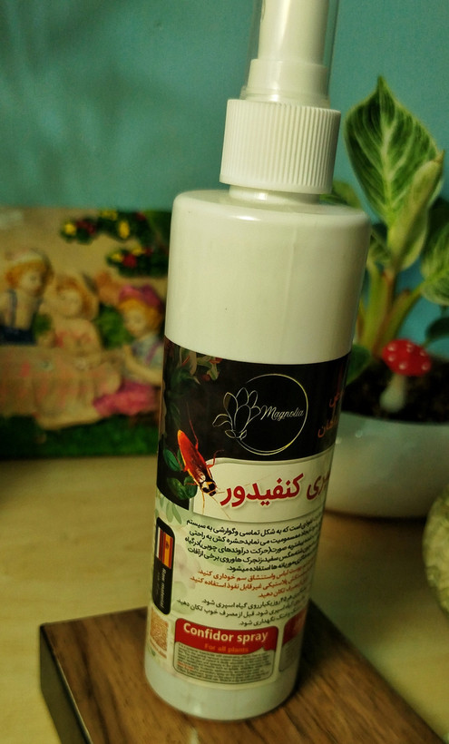 بطری اسپری حشرهکش کنفیدور (Confidor) مخصوص گیاهان آپارتمانی برند مگنولیا.